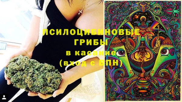 сатива Алексин