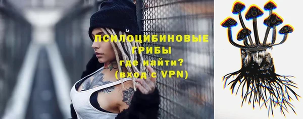 прущая мука Алзамай