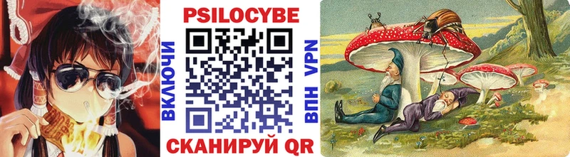 МЕГА как зайти  Динская  Галлюциногенные грибы MAGIC MUSHROOMS 