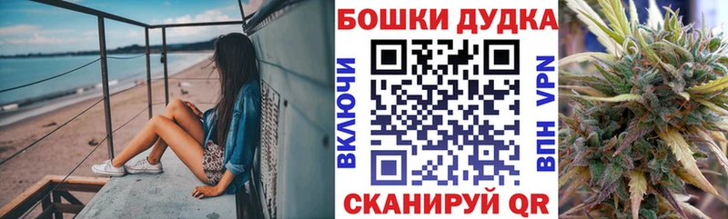 Бошки Шишки сатива  где купить наркоту  Динская 